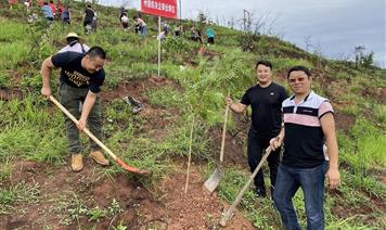 積極響應(yīng)組織號(hào)召 助力瀘山增添新綠